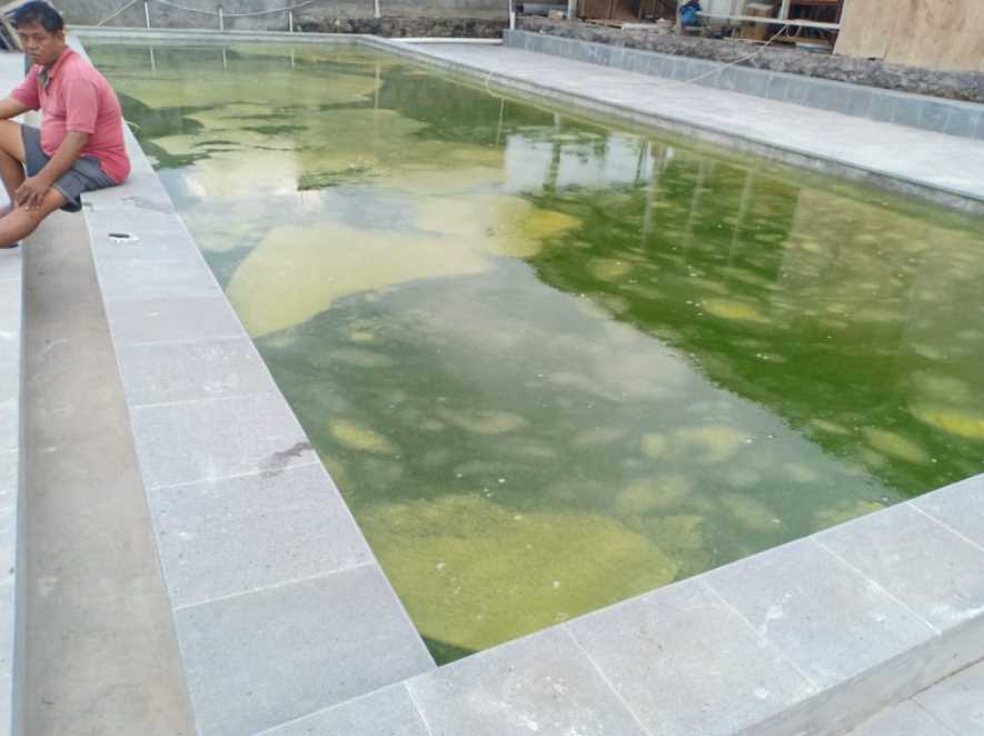 cara membersihkan kolam renang berwarna hijau