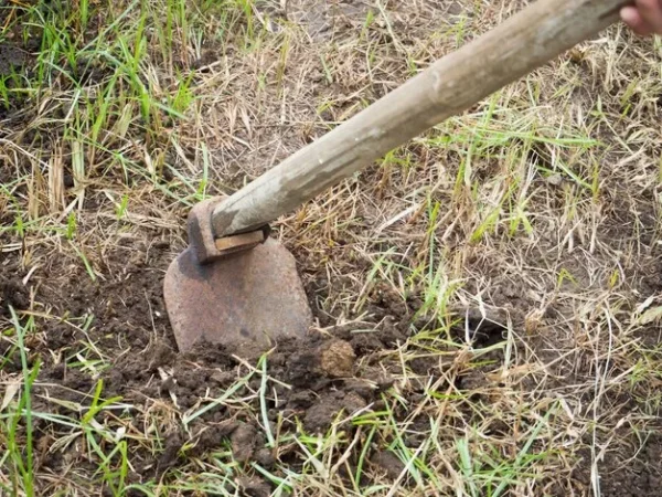 Cara pasang rumput sintetis