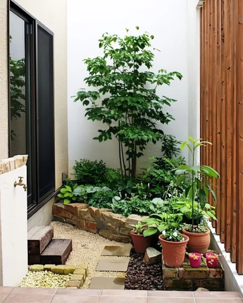 taman minimalis belakang rumah sempit 3