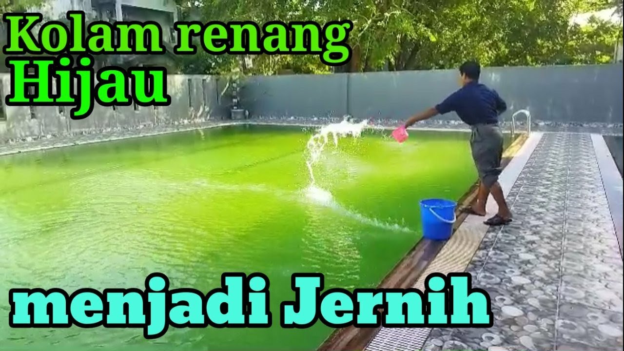 Sampul video: Cara agar  kolam renang selalu jernih || Rahasia kolam renang selalu jernih air nya